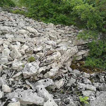 Torlashka Sreshta 3* Vŭrbovo
